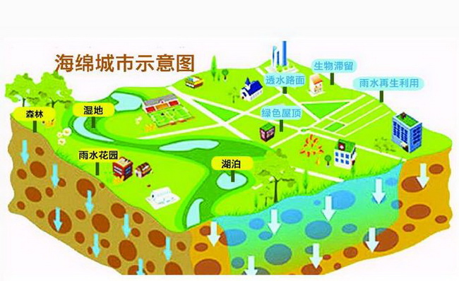 海綿城市建設(shè)